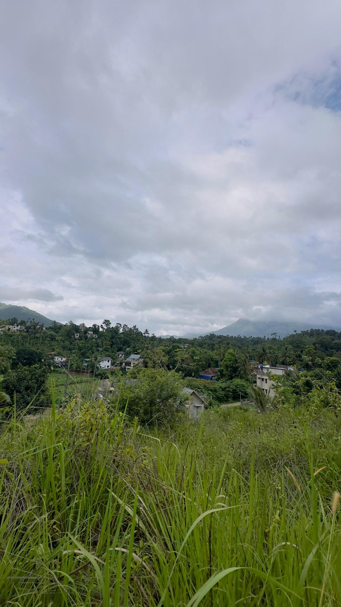 50 cent land for sale at Muttil, Wayanad