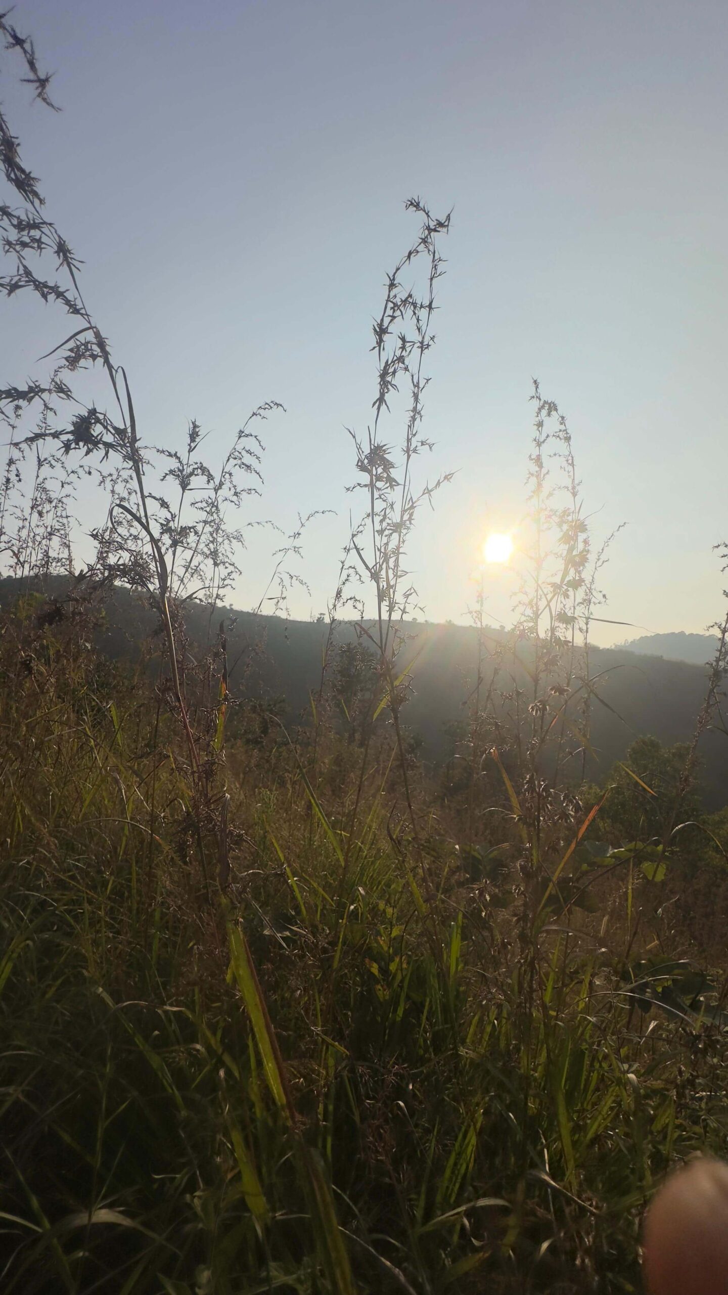 Hill station land suitable for resort /farming /adventure park