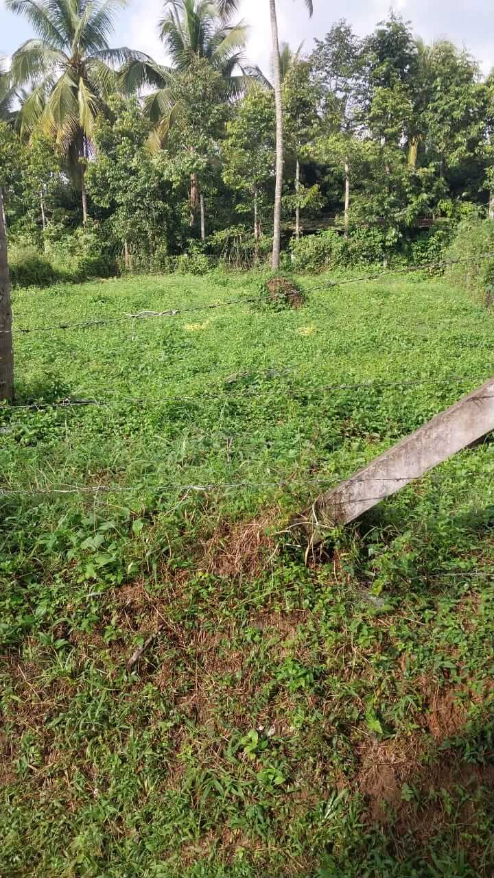 Land suitable for house /apartment construction
